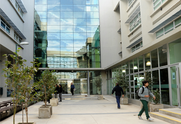 Bachillerato en Ciencias