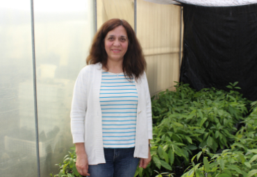 Equipo docente de la Escuela de Agronomía de la PUCV se adjudicó FONDEF de CONICYT