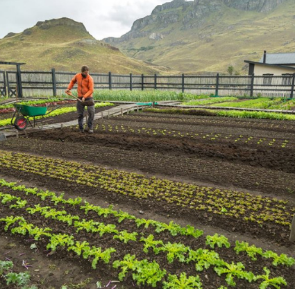 El Huerto de las Cuatro Estaciones: Cultivando vida en la Patagonia - Foto 1