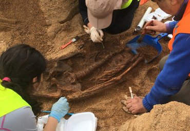 Fondo Margot Loyola PUCV desarrolló encuentro “Hallazgos Arqueológicos en la Plaza O´Higgins” - Foto 4