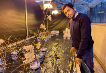 Ex alumno de la Escuela de Agronomía será futuro Profesor Asociado PUCV