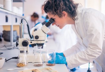 Carreras de Ciencias e Ingeniería cuentan con ingreso especial para mujeres en la PUCV