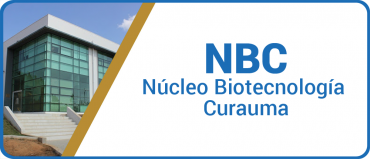 Núcleo de Biotecnología Curauma