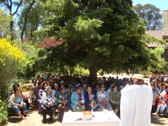 220 adultos mayores de Viña del Mar y Concón compartieron un día de amor y cariño