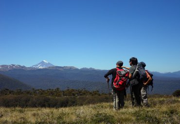 Expertos del Instituto de Geografía PUCV descifran el código secreto que esconden los árboles