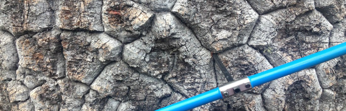 Laboratorio de Dendrocronología y Estudios Ambientales