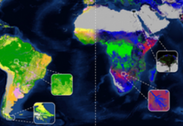 Land Cover Global Disponible para descarga