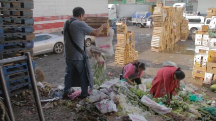 Muestra FICMA: Cortos y largometrajes sobre Cine y Medioambiente