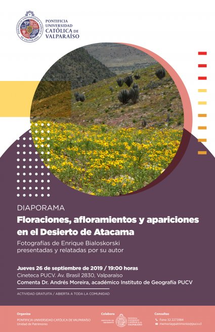 Diaporama: Floraciones, Afloramientos y Apariciones en el Desierto de Atacama