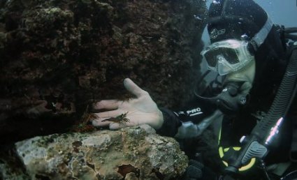 Documental sobre impacto medioambiental del proyecto minero Dominga se estrenará en Cineteca PUCV