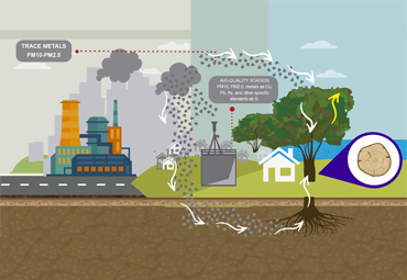 Núcleo de Investigación PUCV está desarrollando Soluciones de base Natural para Desafíos Ambientales Emergentes