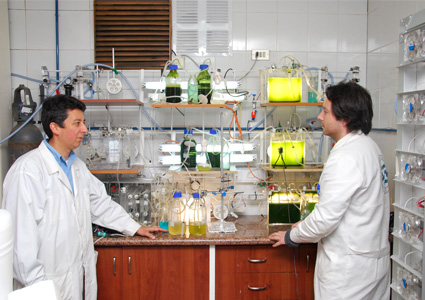 Biotecnología Ambiental