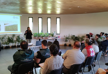 Escuela de Agronomía entregó plantas nativas medicinales propagadas in vitro a comunidad de Rapa Nui