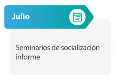 Seminarios de socialización informe