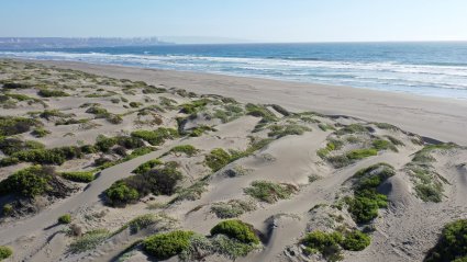 Profesores participan en el Mundial de Geografía