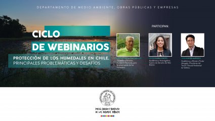 Investigadora del CDM, Rocío Parra, participa en Webinario "Protección de los Humedales en Chile. Principales problemáticas y desafíos"