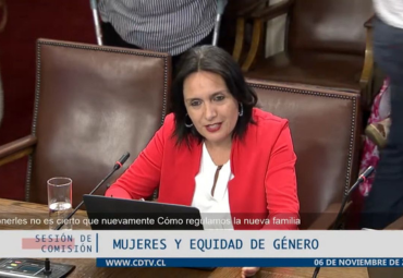 Profesora Andrea Montecinos expone en la Comisión de Mujeres y Equidad de Género de la Cámara de Diputadas y Diputados de Chile