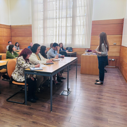 Integrantes de la Comisión CAHVDA participan de un taller sobre las distinciones que incorpora la Ley Karin a las conductas de acoso